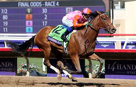 sportswire betting